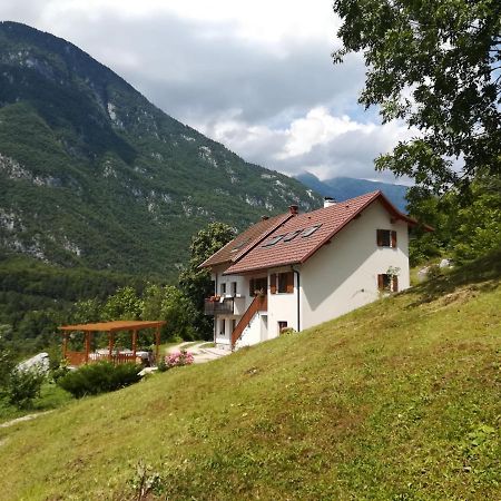 Apartma Elizabeth Διαμέρισμα Srpenica Εξωτερικό φωτογραφία